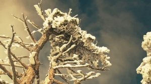 Что такое совесть? Откуда берется вера? (вопросы, на которые у фарисеев нет ответа)