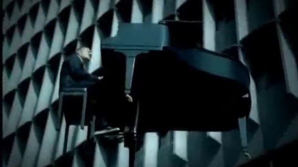 David Gray - Please Forgive Me (HQ)