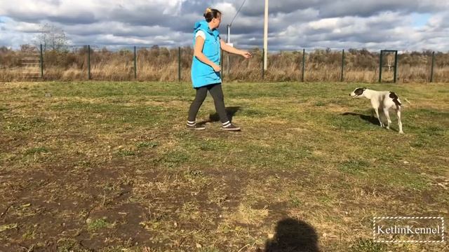 Ketlin Shedu 6,5 m.o. смотреть онлайн