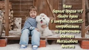 МУЗЫКА «Наши верные друзья №7» ИМПРОВИЗАЦИЯ фортепиано композитор Виктор Анохин #instrumentalmusic