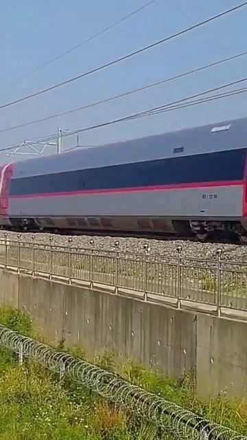 350 Km/h WHOOSH Indonesia Bullet Train #railway #highspeedrailway #trending #viral #kcic #shorts