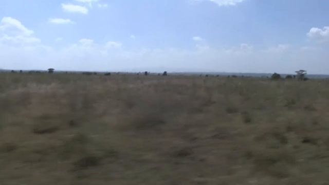 Kenya's Rift Valley смотреть онлайн