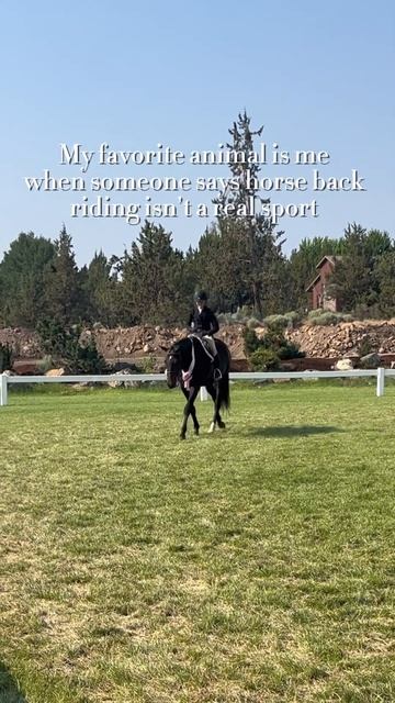 I’m serious 💀 #horse #equestrian #stopabuse #viralvideo #fypシ゚ #blowup смотреть онлайн