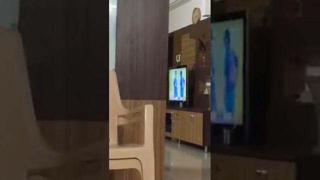 Kappa fish смотреть онлайн