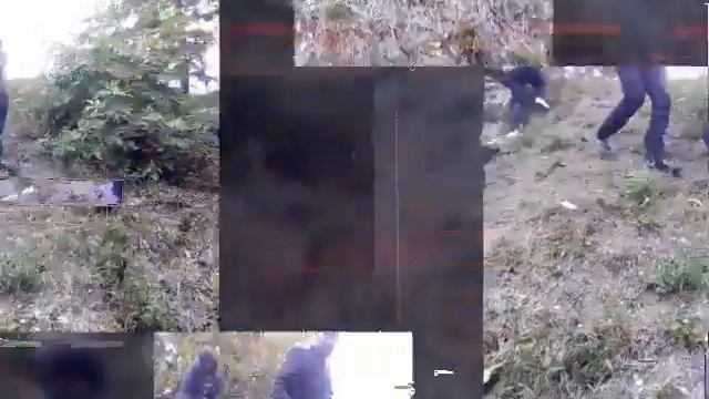 Видео номер 2