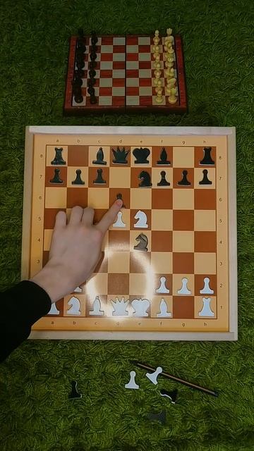 Дебют Понциани