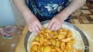 Татарский пирог с абрикосом.