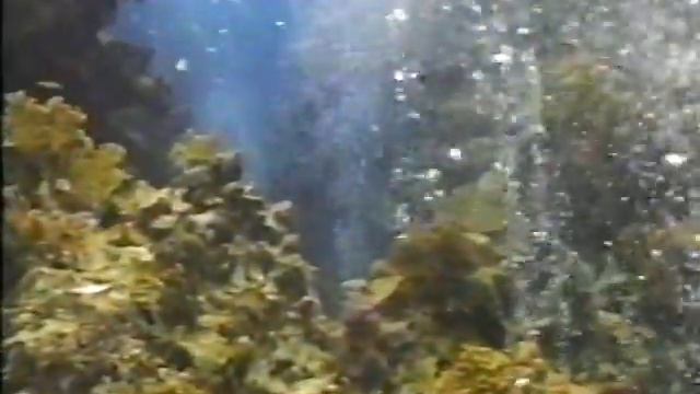 Scuba Diving - 3 of 3 смотреть онлайн