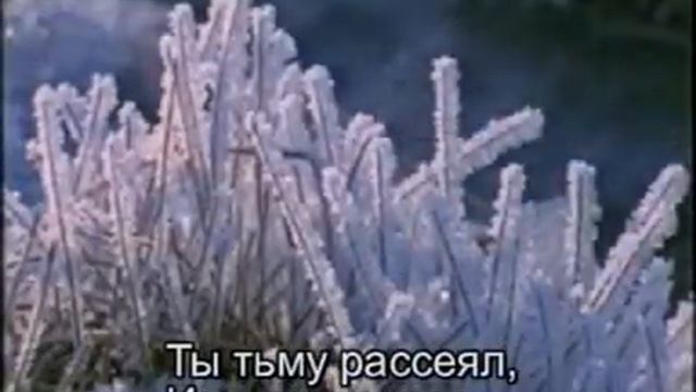 11 ключ вечной жизни