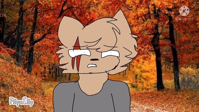 Meme AMERICA VS Australia смотреть онлайн