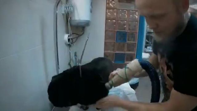 Отзыв от салона Тэфи смотреть онлайн