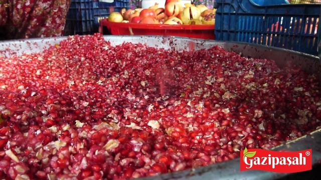 Pomegranate Sour & Carob Syrup Production in Turkey - GAZİPAŞALI® смотреть онлайн