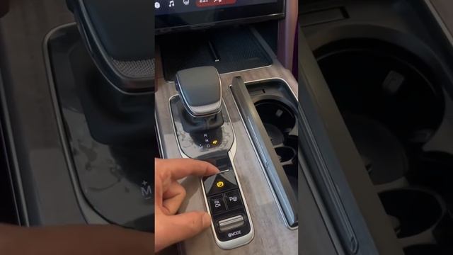 The New FAW HONGQI HS7 2024 Walkaround