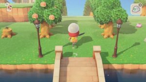 Получила пять звезд и строю бесконечную аллею в Animal Crossing New Horizons