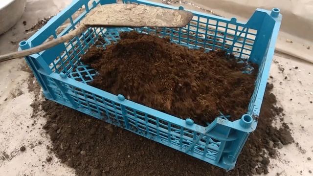 Как не сделать ошибок начинающим./How not to make mistakes for beginners смотреть онлайн