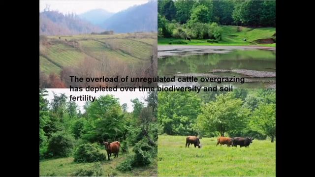 Miarch 2016 Lankaran (Azerbaijan) An 80 hectar sustainable farm intervento Matteo Poli Architetto смотреть онлайн