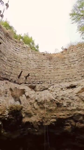 Dangerous Rescue Operation #snake #viral