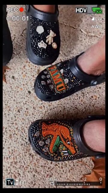 Nobody stepping like my mom and daughter 💕💫 #customshoes #fyp #crocs #famu смотреть онлайн