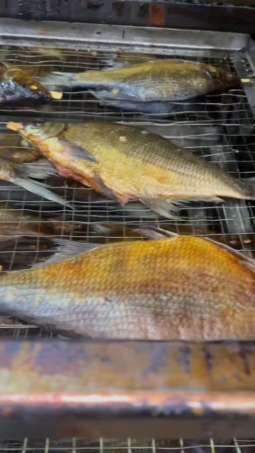 #smokefish #вяленаярыба #заказ #копченаярыба #икра #оптом #заказать #оптсклад #вобла #гоу смотреть онлайн