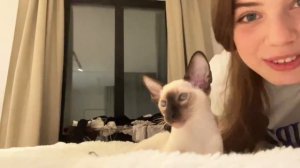 АКУЛИЧ ЗАСВЕТИЛА СВОИ БУРИ / Нарезка со стрима Акулич