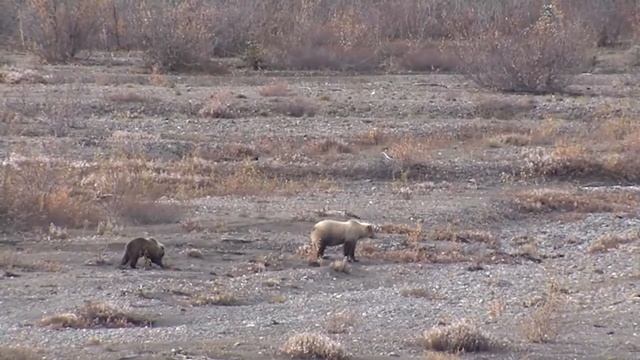 Красивая расслабляющая музыка для снятия усталости, Окутывает душу нежностью… Для отдыха, Для сна смотреть онлайн