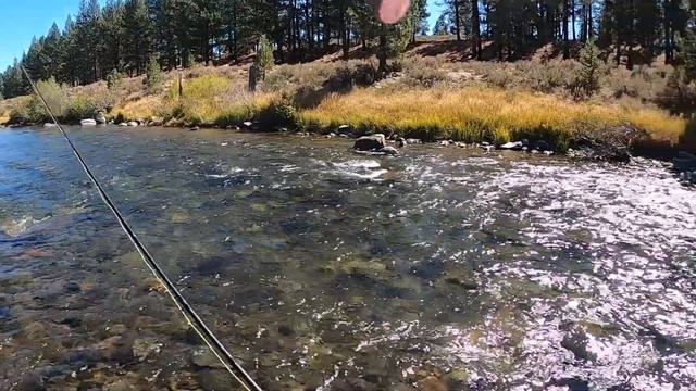 Fly Fishing - Euro Nymphing for Brown Trout and Rainbow Trout смотреть онлайн