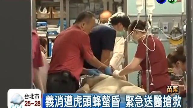 虎頭蜂傾巢飛竄 義消遭螫昏不治 смотреть онлайн