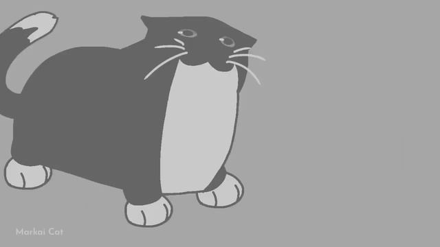 Maxwell Cat dancing for 2 minutes 38 seconds смотреть онлайн