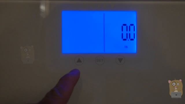 INTEY Body Composition Fat Digital Scale Review смотреть онлайн