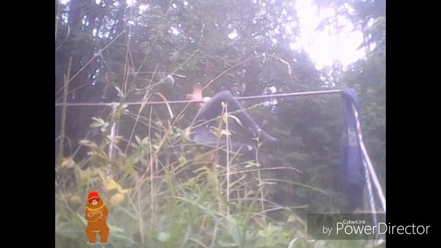 Несколько простых и красивых элементов на турнике. смотреть онлайн