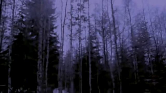 5 МОНСТРОВ НА БОЛОТЕ СНЯТЫХ НА КАМЕРУ смотреть онлайн