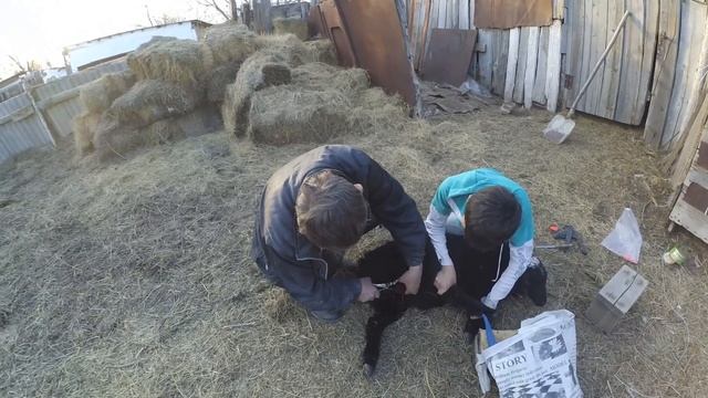 Как отдыхают в деревне? смотреть онлайн