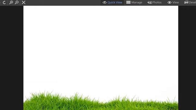 30 Green Grass PNG Photo Overlays free Download 2021 смотреть онлайн