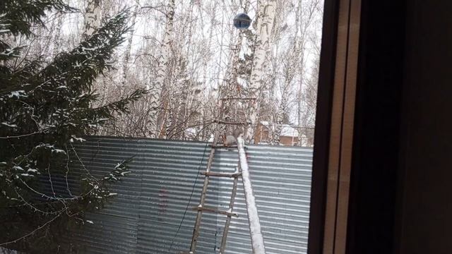 наша дама - Белая полоска. смотреть онлайн