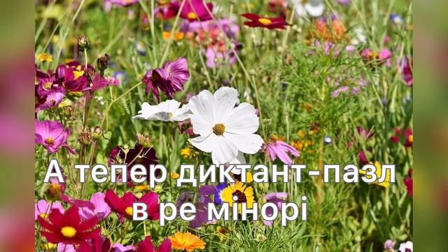 Тональність ре мінор і диктант-пазл смотреть онлайн