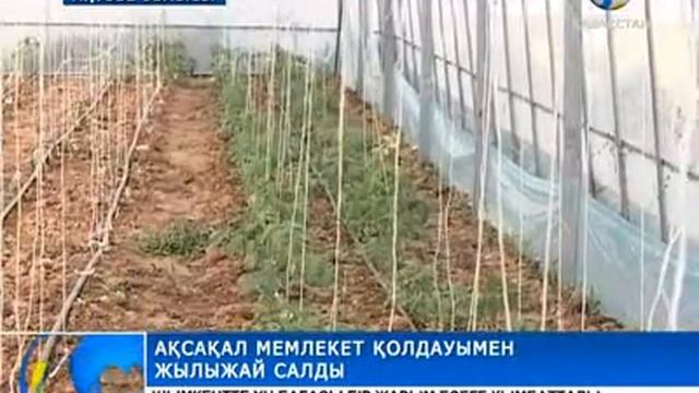 Бағдарлама қарқынды іске асуда смотреть онлайн