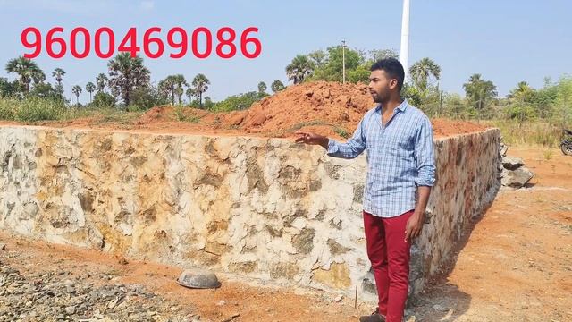 Surandai low budget land for farmhouse 30 cent 1 cent 1.20 lakh only 😍😍😍😍 смотреть онлайн