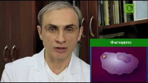 Аутоиммунный тиреоидит (АИТ): Регенерация и Восстановление ткани щитовидной железы // Доктор Ушаков смотреть онлайн