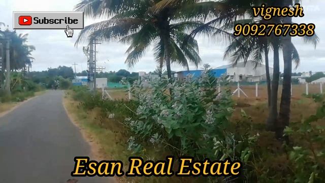 75 Cent Land For Sale In Kaaniyampalayam