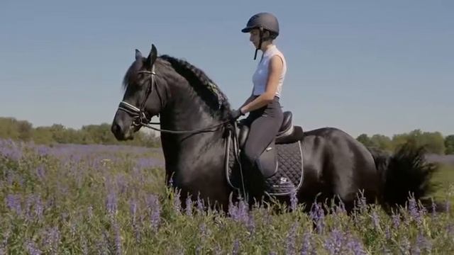 Компания Terra Nova