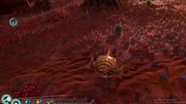 требумы в деле.