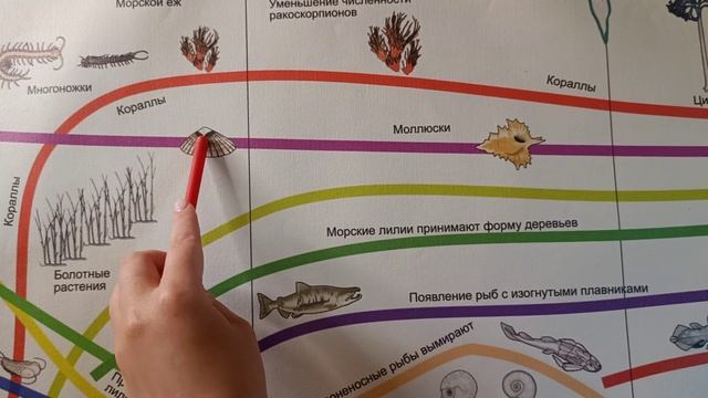 Лента развития жизни на Земле смотреть онлайн
