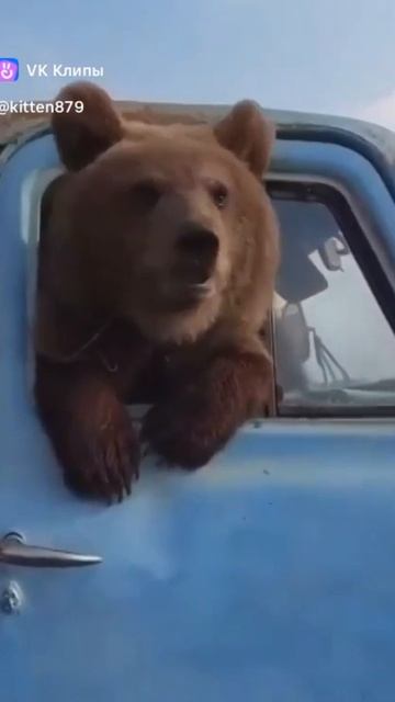 ДРУЖНАЯ СЕМЕЙКА