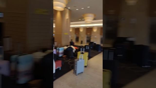 Гостиница Radisson Pulkovskaya смотреть онлайн