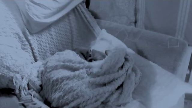 Когда понял, что уже прошла половина января 2019 года! смотреть онлайн