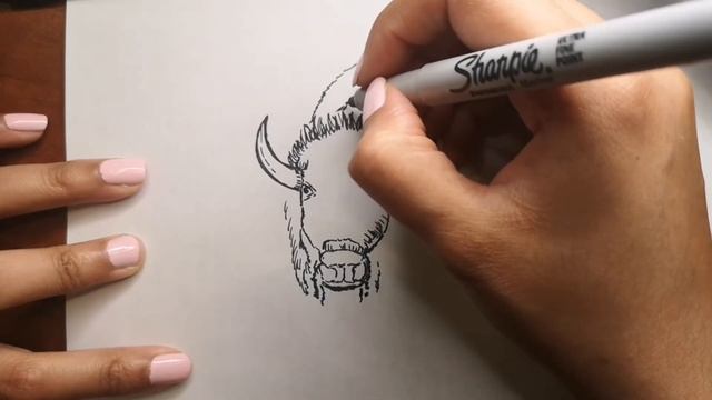 How To Draw A Bison Step By Step For Beginners | Easy Bison Head Drawing Tutorial | Animal Drawing смотреть онлайн