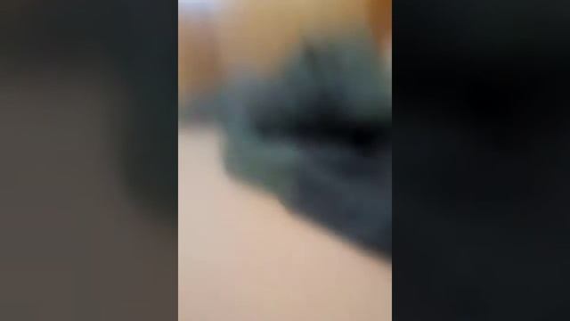 Короче говоря я стал маленьким смотреть онлайн