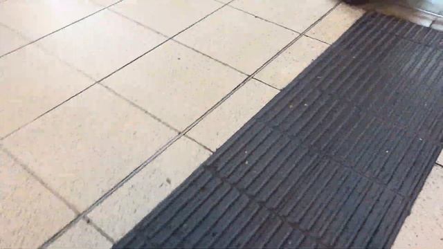 (Recording Failed) Trains Obersation At Westminster Station On The Circle And District Lines смотреть онлайн