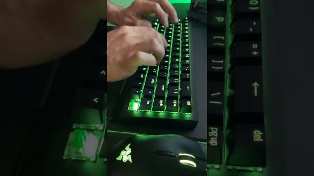 *New* Razer BlackWidow V3 Mini - Green Switch Typing Sound Test