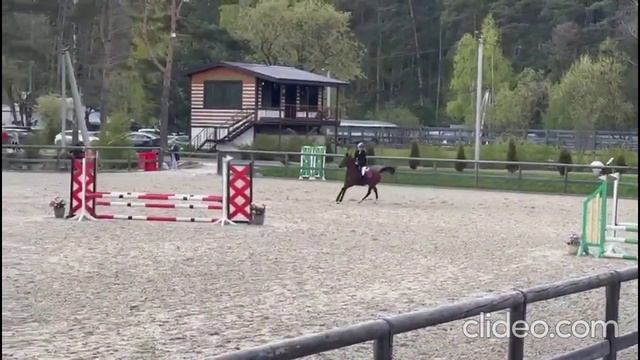 Готовый турнирный пони-класс. Арт.: 3072 смотреть онлайн